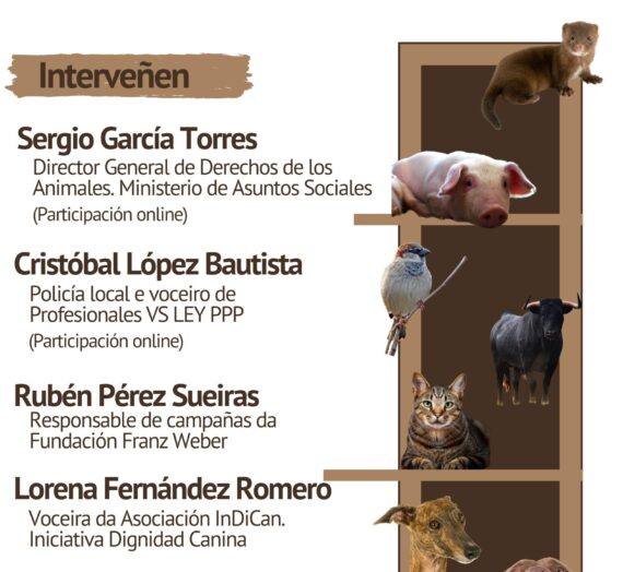 Ferrol en Común organiza un acto para abordar a nova Lei de Benestar Animal