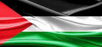 FeC rexistra unha moción en apoio ao pobo palestino
